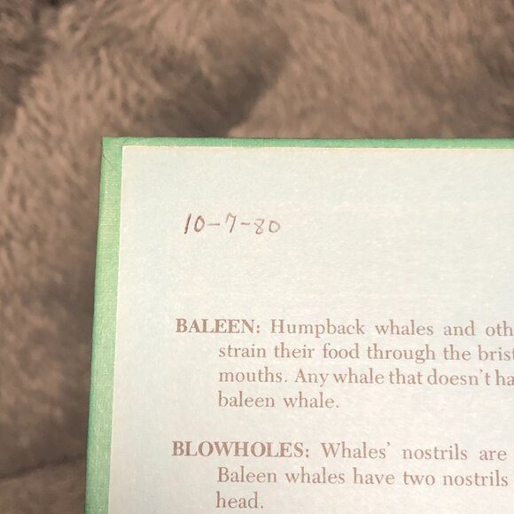 Vintage Little Whale by Ann McGovern 1979 Hardcover Book Club - Picture 4 of 5